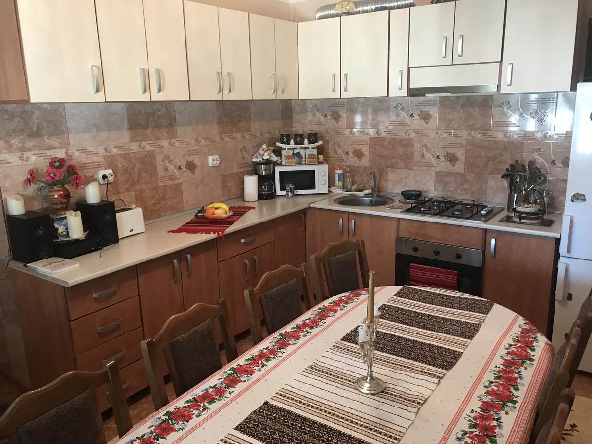 Гостевой дом Casa Cu Pitici Вама Экстерьер фото